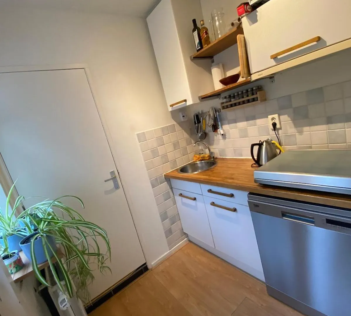 דירה Relaxed home at the center of Utrecht! הולנד